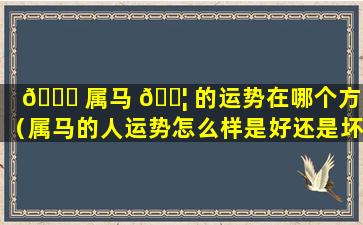 🐝 属马 🐦 的运势在哪个方向（属马的人运势怎么样是好还是坏）